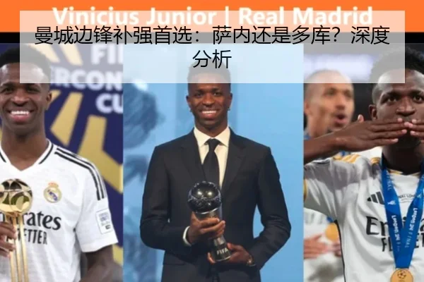 曼城边锋补强首选：萨内还是多库？深度分析
